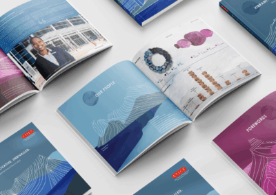 CTICC Integrated Annual Report