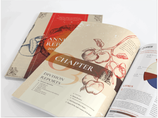PPECB Integrated Annual Report