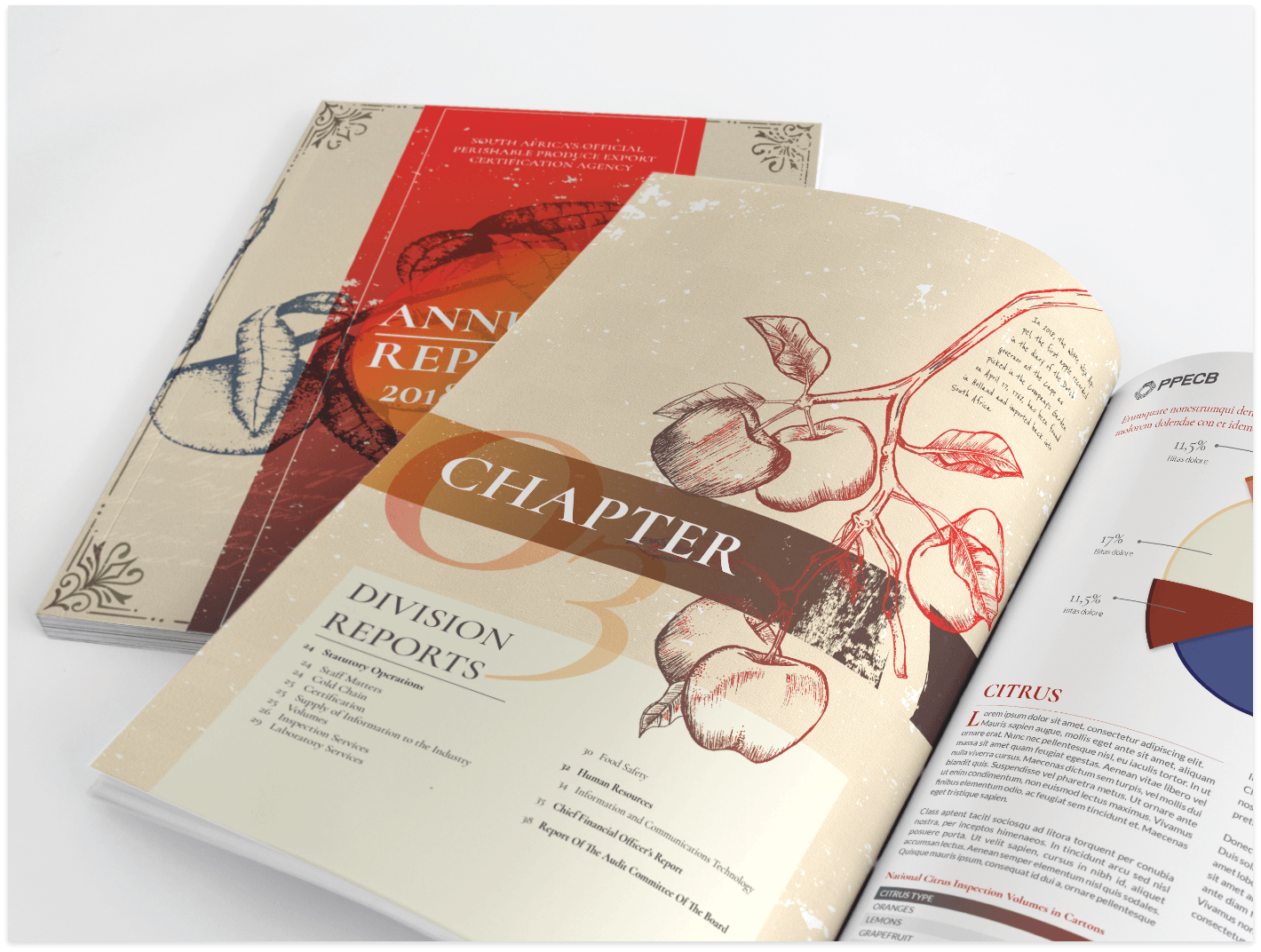 PPECB Integrated Annual Report 2025 | designed by Brandesign