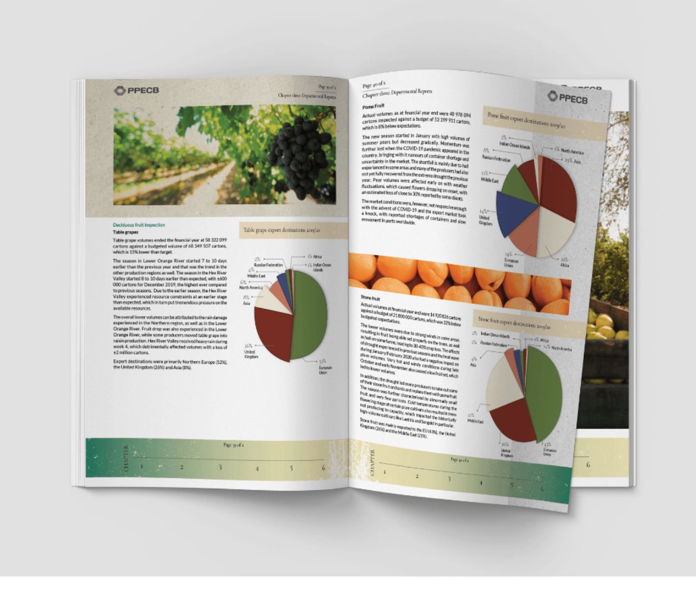PPECB Integrated Annual Report 2025 | designed by Brandesign