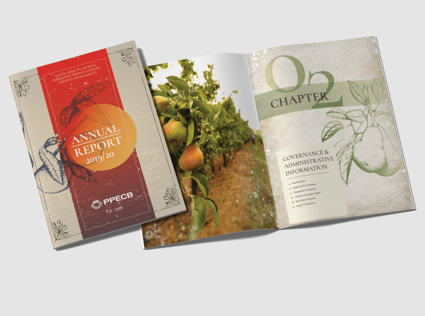 PPECB Integrated Annual Report 2025 | designed by Brandesign